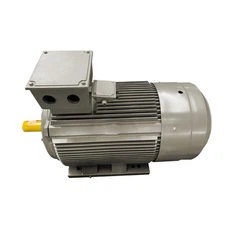 Мотор ИЕ5 серије Ип65